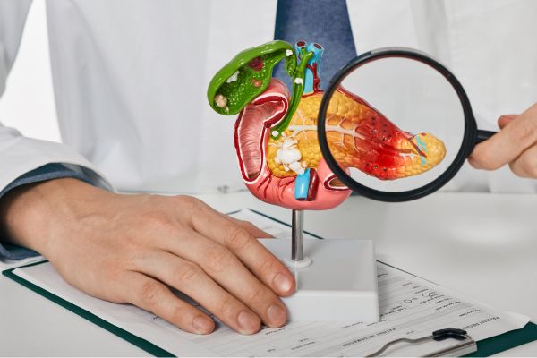 Bile Duct Obstruction: Causes, Symptoms and Treatments