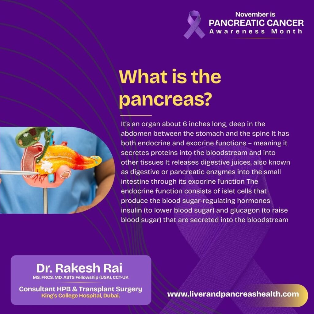 What is the pancreas?