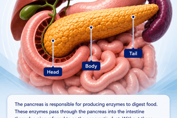 Pancreatic surgeon Dubai