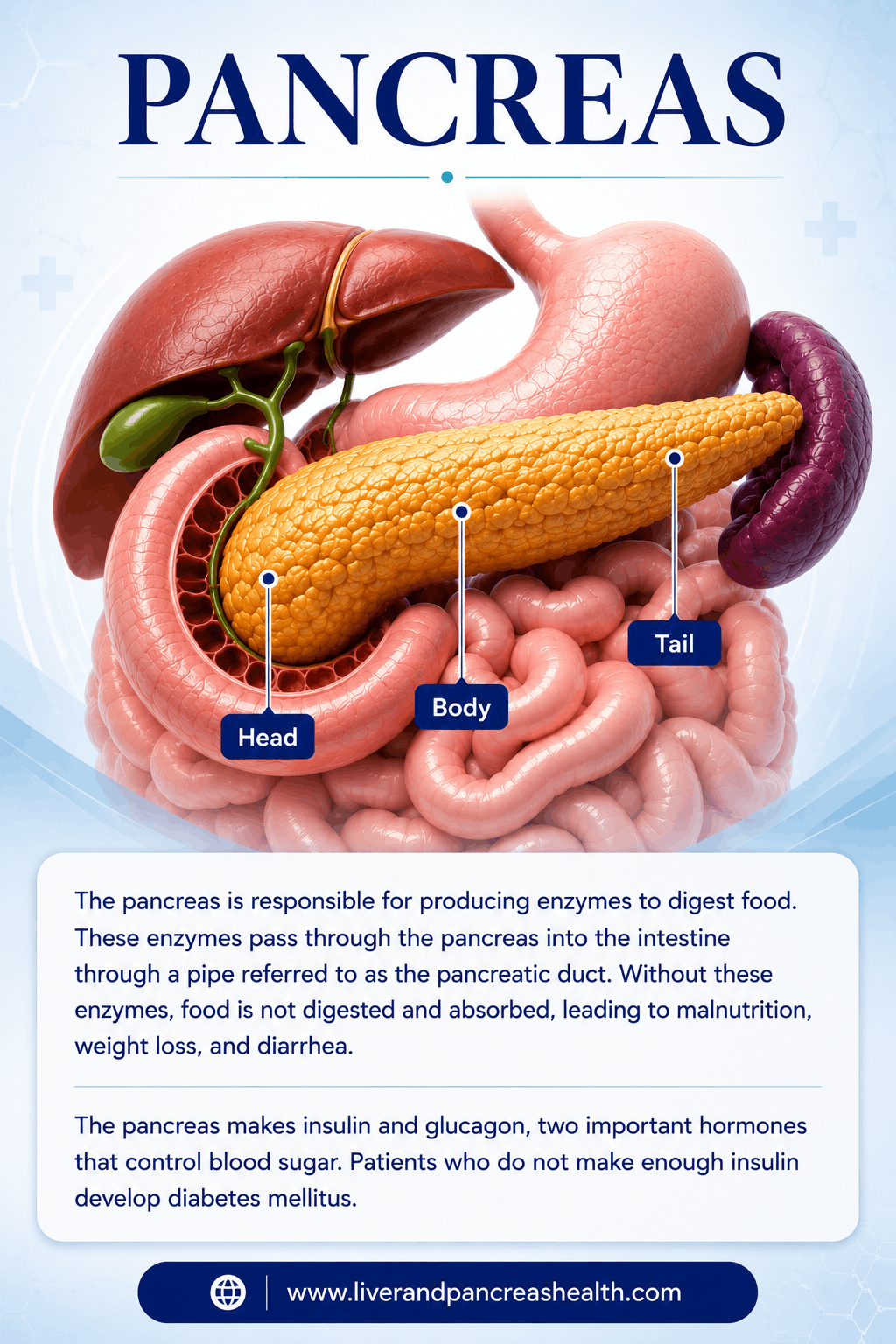 Pancreatic surgeon Dubai