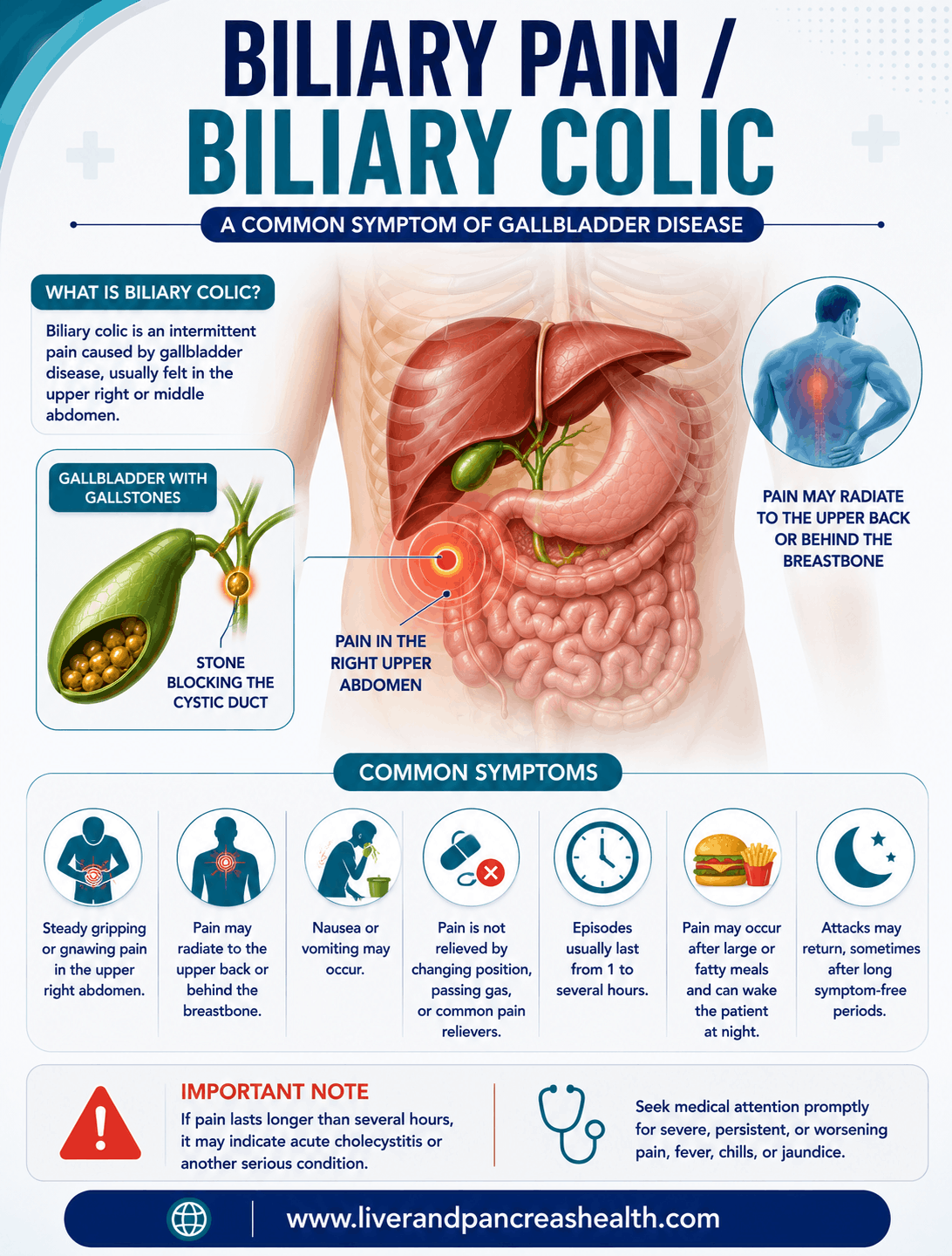 Bile Duct Surgery in Dubai