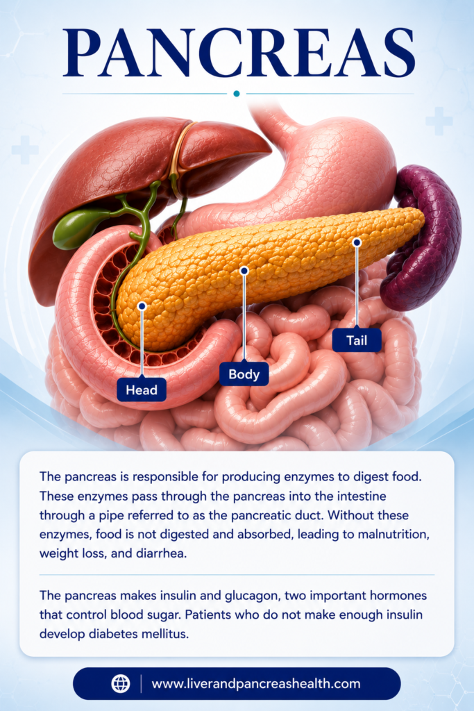 Pancreatic surgeon Dubai