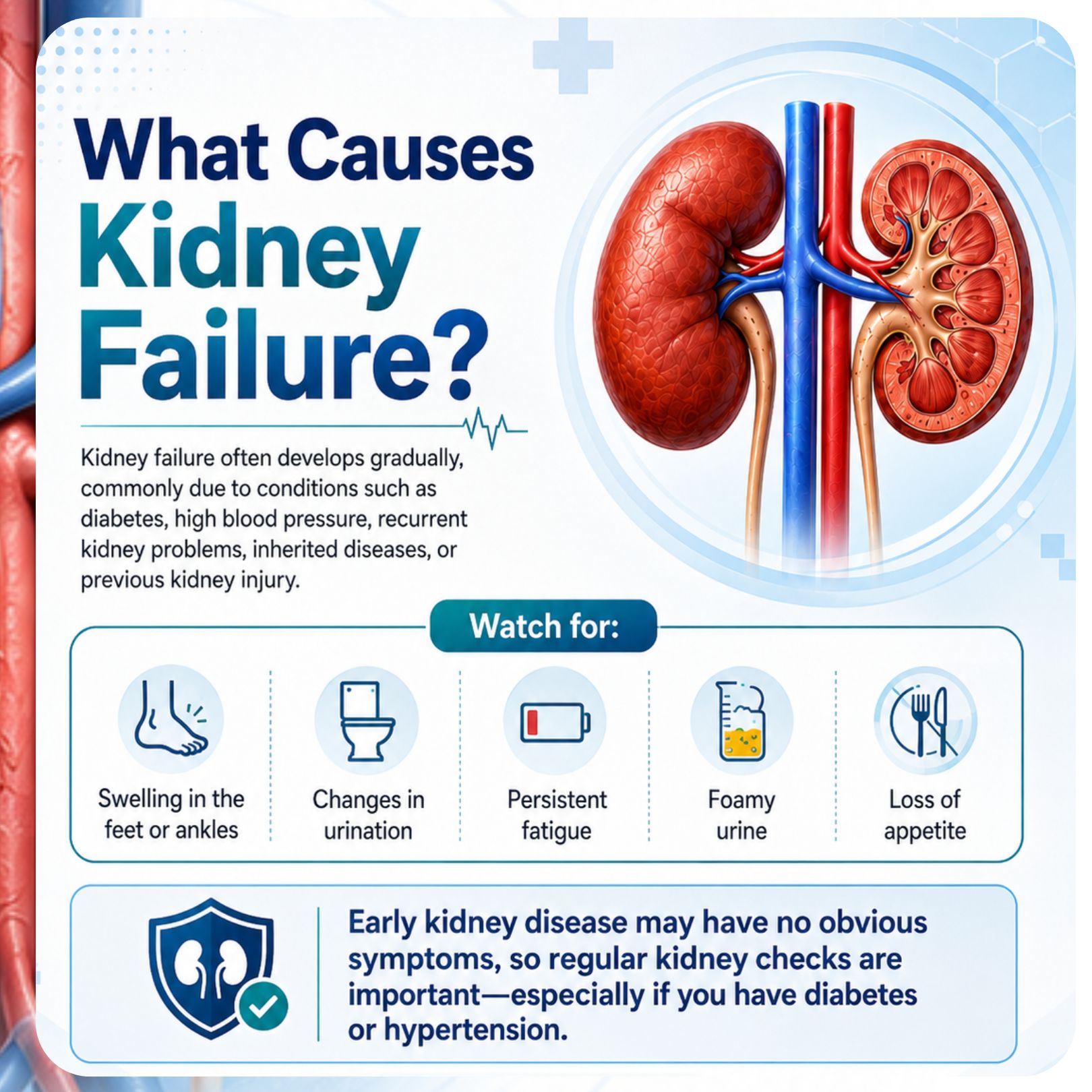 What Causes Kidney Failure